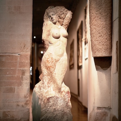 oeuvre de Florence Jarrige