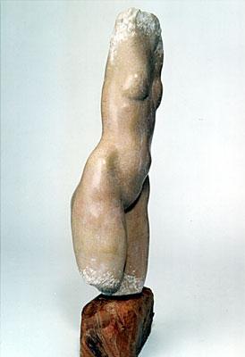 oeuvre de Catherine Arnaud