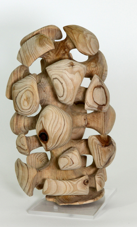 oeuvre de Maguy Seyer